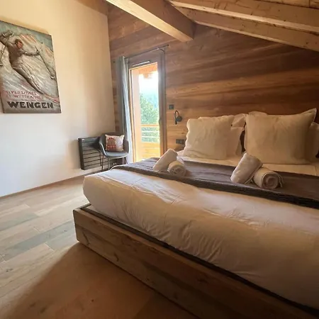 Les Roitelets 5 Etoiles Avec Jacuzzi Sauna Gerardmer