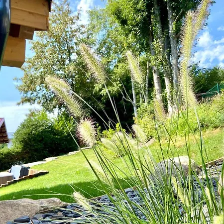 Les Roitelets 5 Etoiles Avec Jacuzzi Sauna