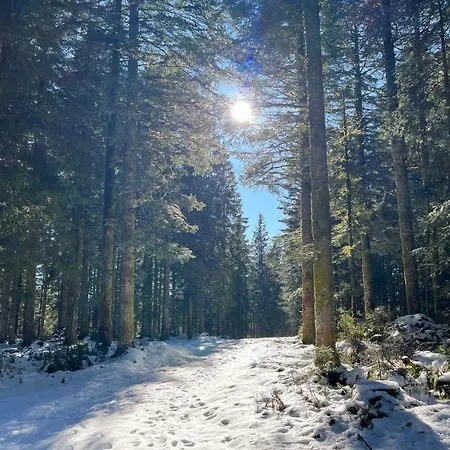 Les Roitelets 5 Etoiles Avec Jacuzzi Sauna *