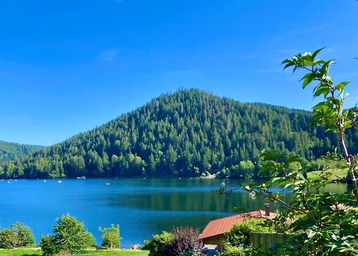 Les Roitelets 5 Etoiles Avec Jacuzzi Sauna Chalet