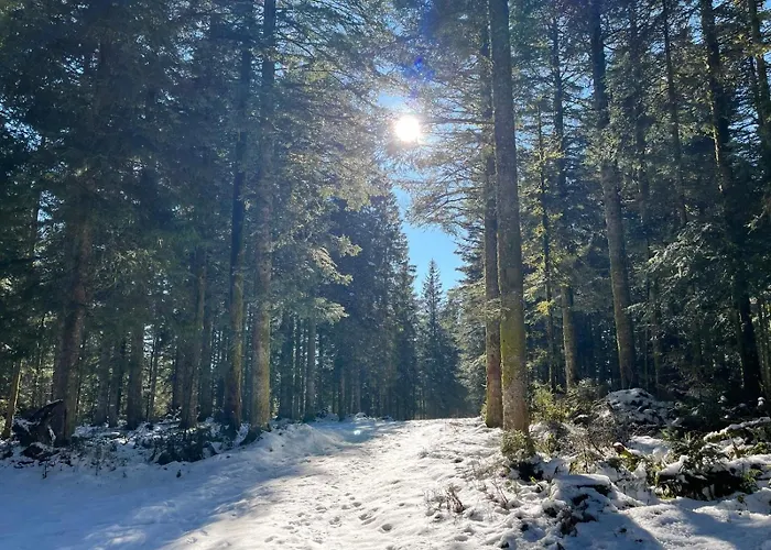 Les Roitelets 5 Etoiles Avec Jacuzzi Sauna *