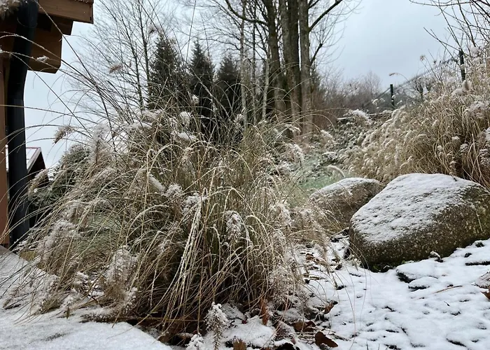 Les Roitelets 5 Etoiles Avec Jacuzzi Sauna *